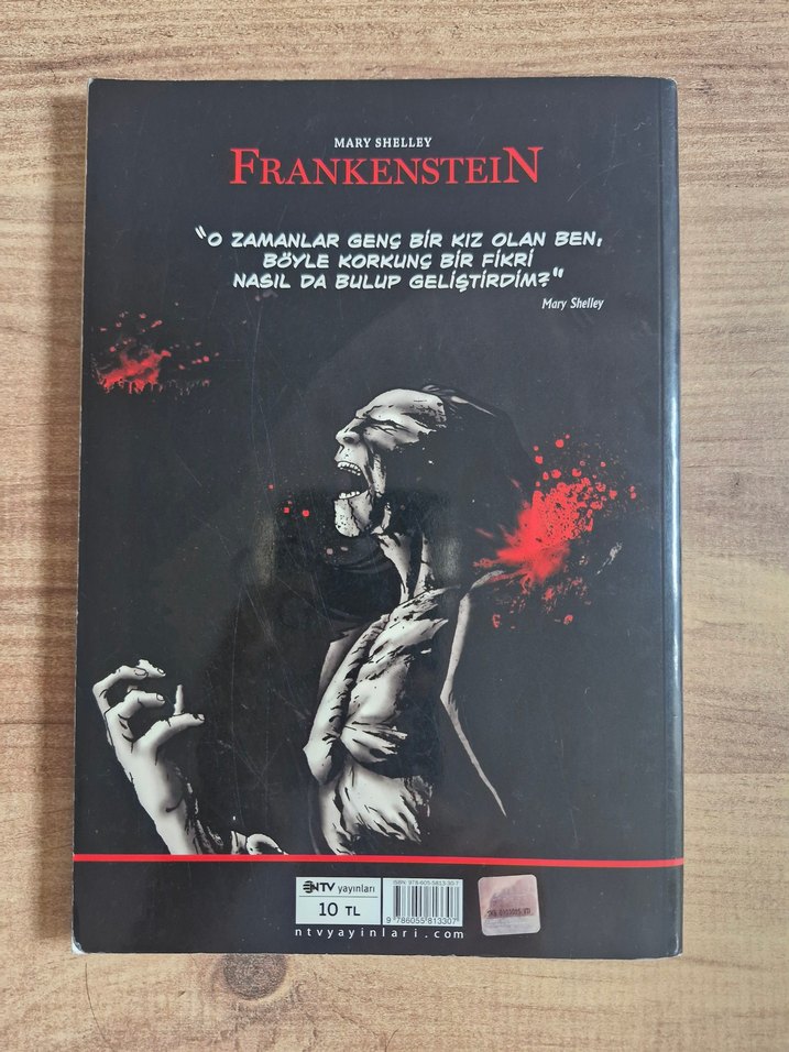 Frankenstein çizgi roman ntv - Görsel 2
