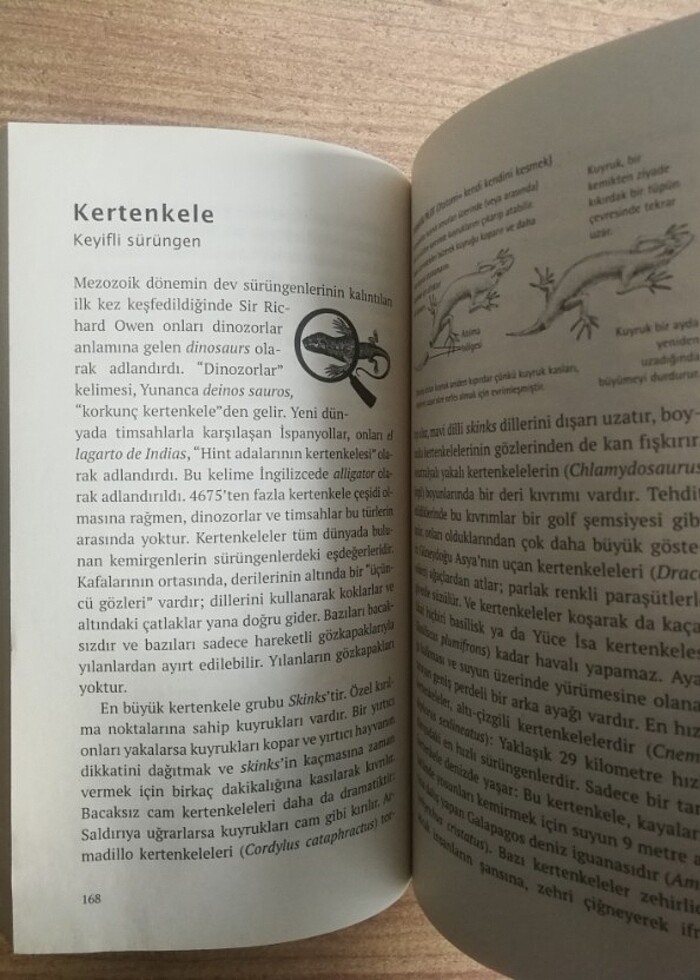 Cahillikler kitabı Hayvanlar alemi - Görsel 2