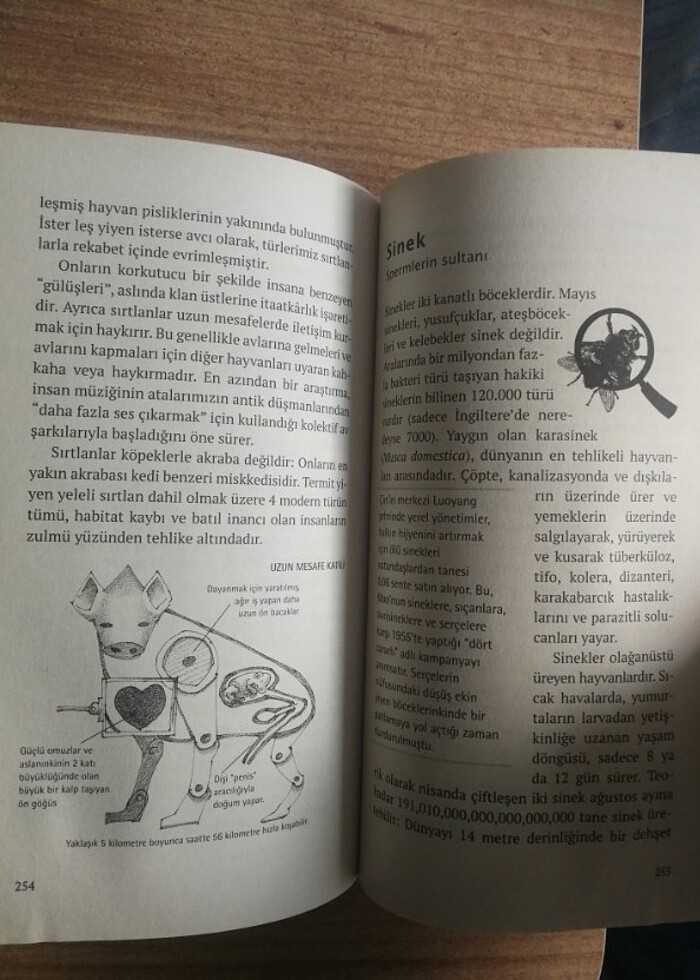 Cahillikler kitabı Hayvanlar alemi - Görsel 3