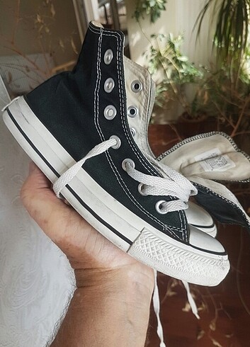 Convers 36 beden