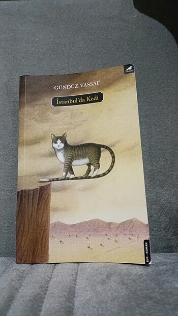 İstanbul'da Kedi