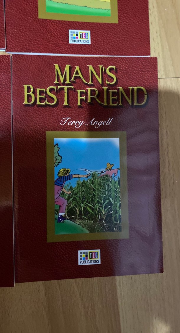 İngilizce okuma kitabı - Görsel 4