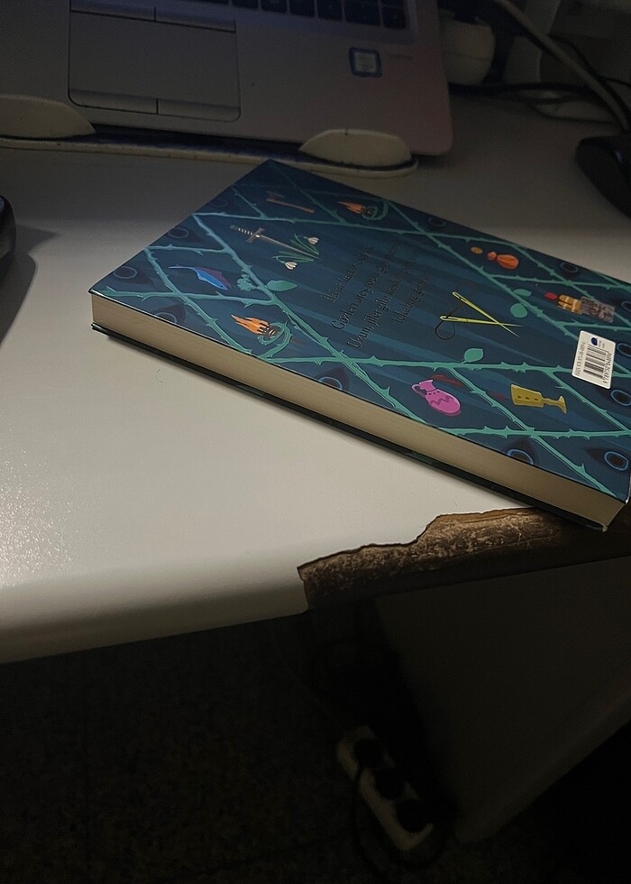 Harry potter - Görsel 4