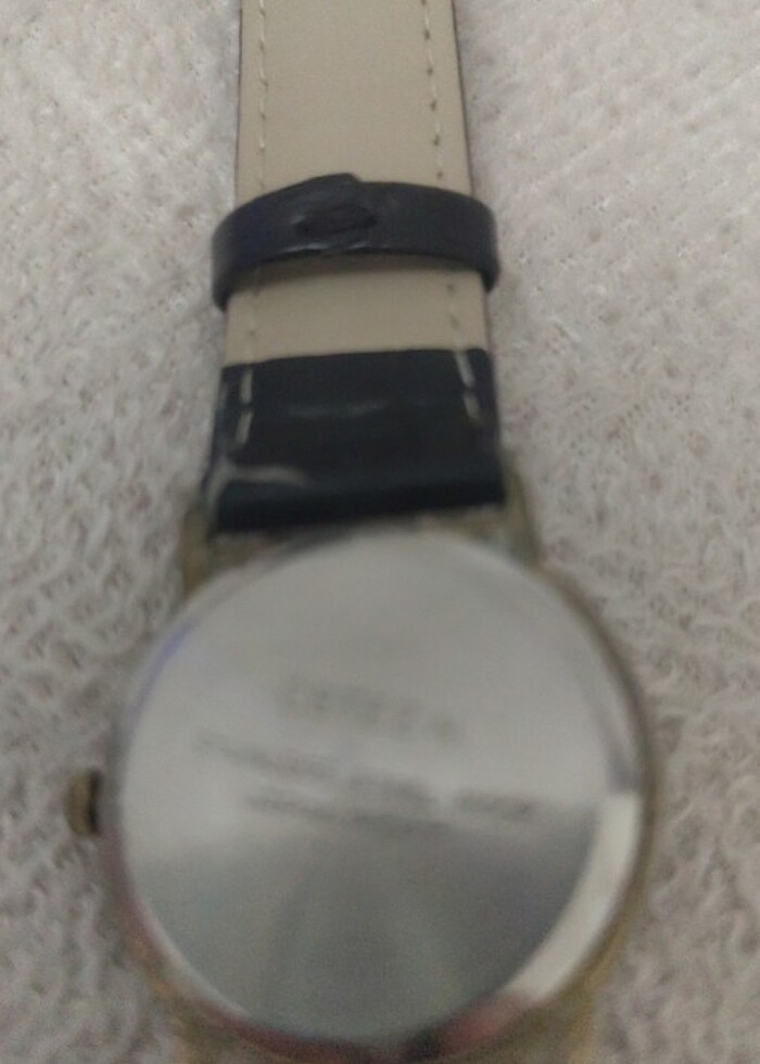 Cetezin japon movt saat erkek - Görsel 2