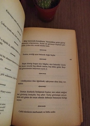 Mesnevi'den Seçmeler - Şefik Can - Görsel 3