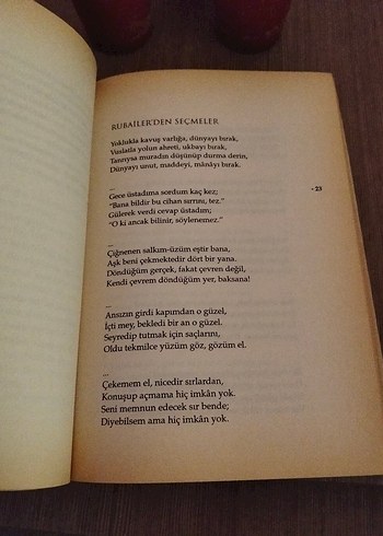 Mesnevi'den Seçmeler - Şefik Can - Görsel 2