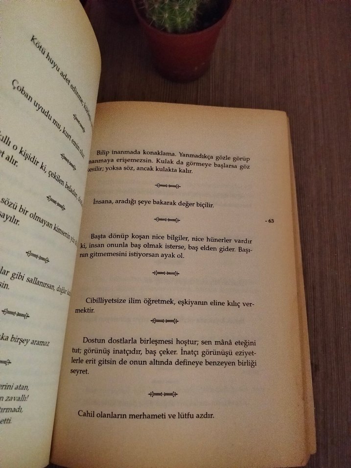 Mesnevi'den Seçmeler - Şefik Can - Görsel 3