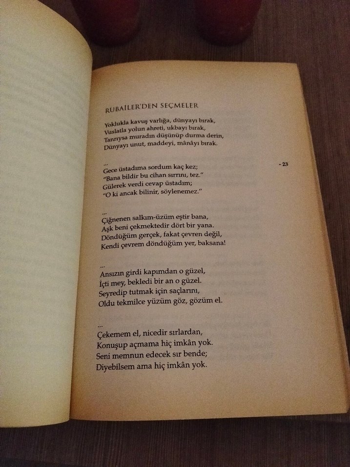 Mesnevi'den Seçmeler - Şefik Can - Görsel 2