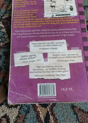 Saftirik Greg'in Günlüğü - Ama Bu Haksızlık! - Görsel 2