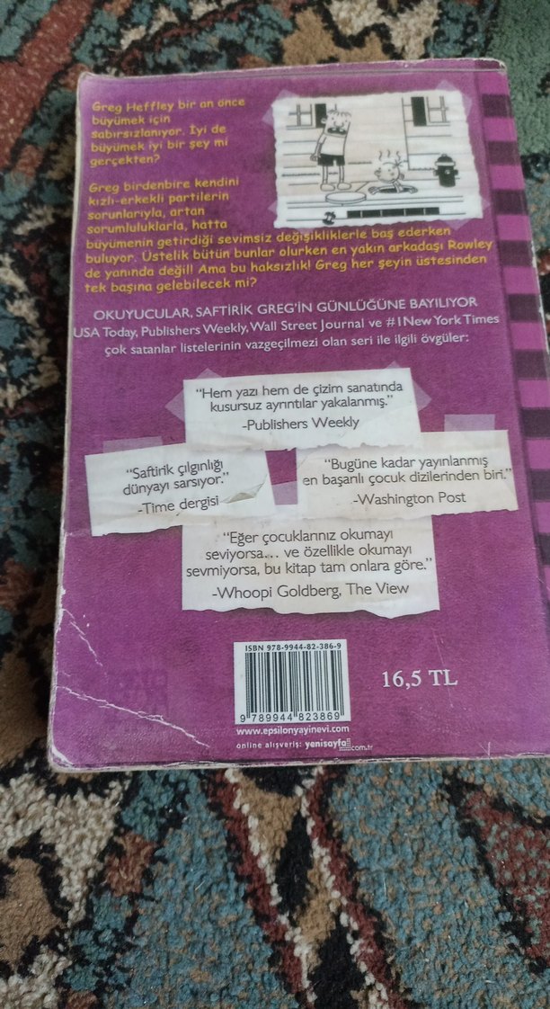 Saftirik Greg'in Günlüğü - Ama Bu Haksızlık! - Görsel 2