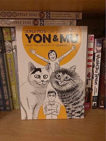 İngilizce Junji Ito?s cat diary