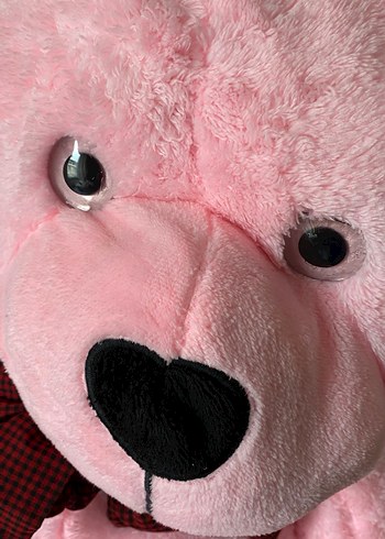 Pembe Peluş Oyuncak Ayı - Görsel 3