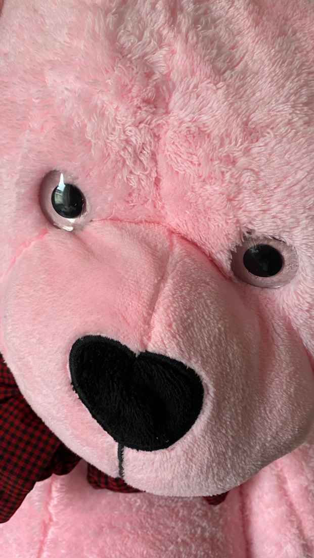 Pembe Peluş Oyuncak Ayı - Görsel 3