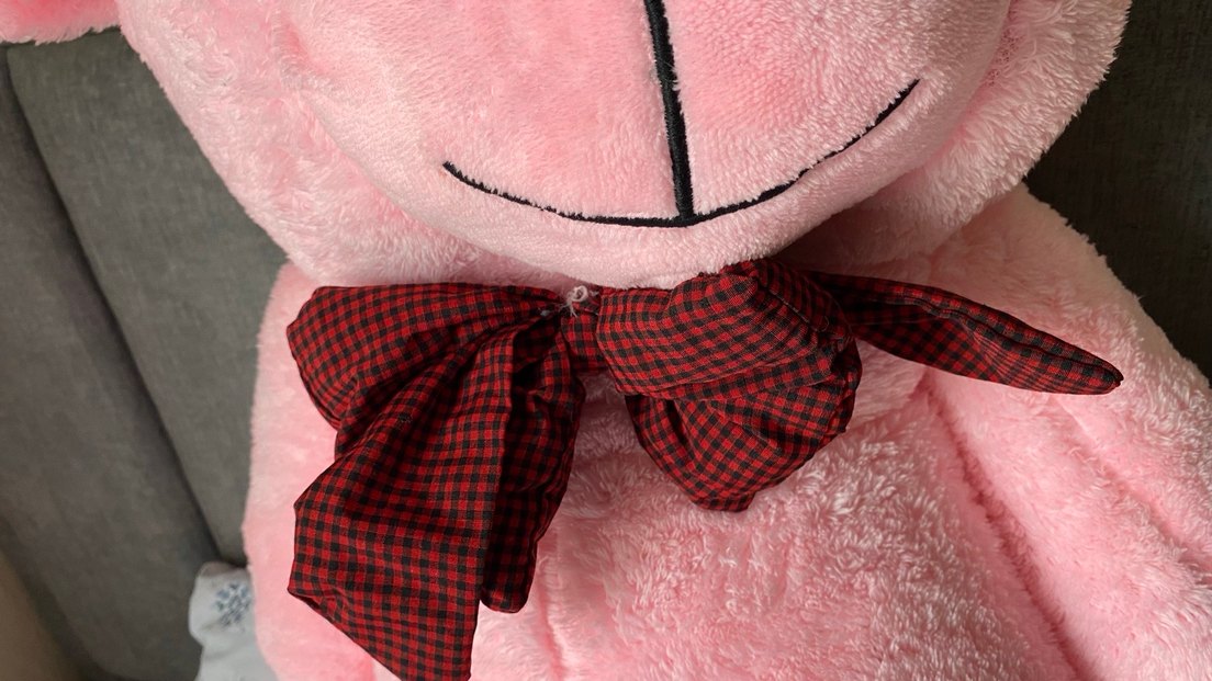 Pembe Peluş Oyuncak Ayı - Görsel 4