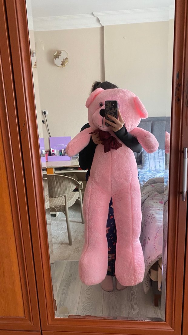 Pembe Peluş Oyuncak Ayı - Görsel 2