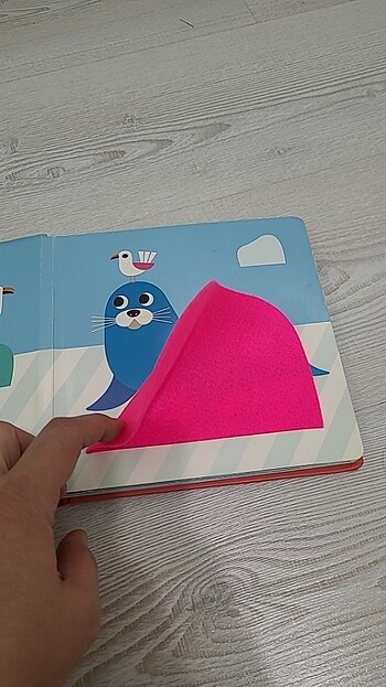 Diğer Where is Nosy Crow Bebek Kitabi ingilizce