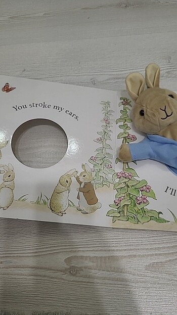 Beden Peter Rabbit Kukla Kitabi