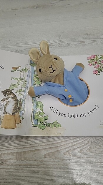 Beden Renk Peter Rabbit Kukla Kitabi