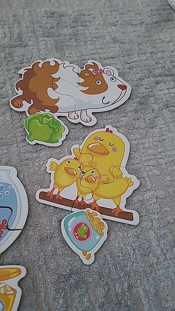 Beden Renk Haba hem hayvan besleme hem de ilk puzzle