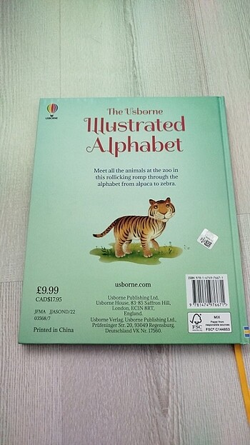  Beden Renk Usborne Alphabet Kitabi İngilizce