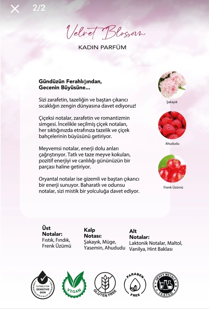 Velvet Blossom Kadın Parfümü 50 ml - Görsel 2