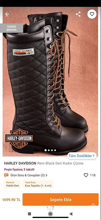 Harleys çizme