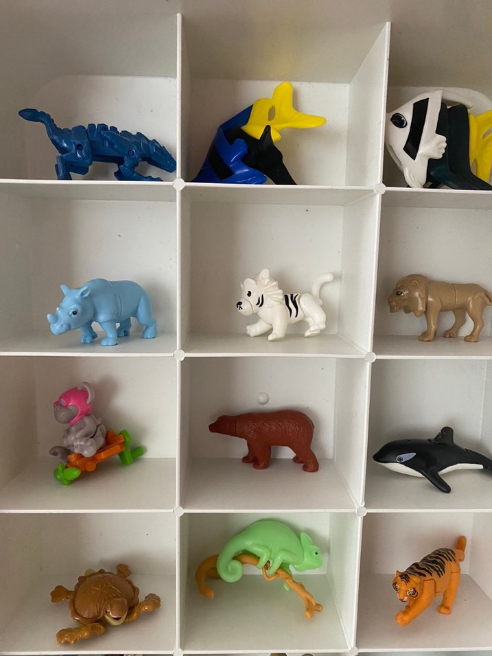 Kinder hayvanlar serisi - Görsel 5