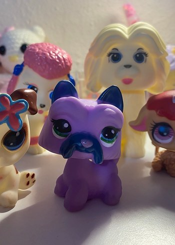 Orjinal olmayan Minişler - Görsel 3