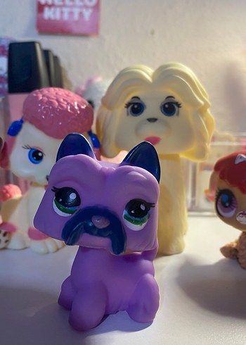 Orjinal olmayan Minişler - Görsel 4