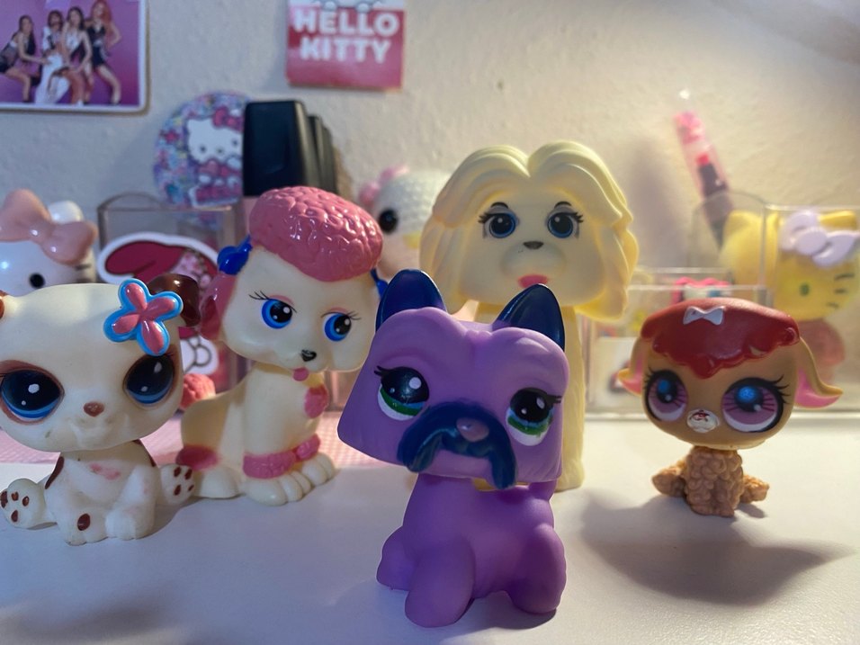 Orjinal olmayan Minişler - Görsel 5