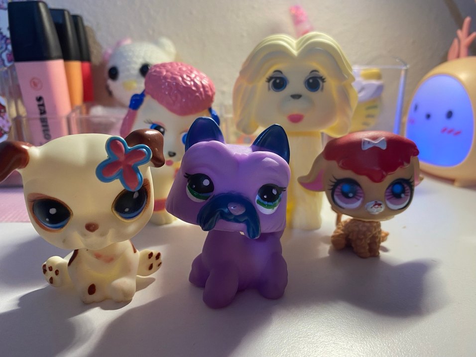 Orjinal olmayan Minişler - Görsel 3