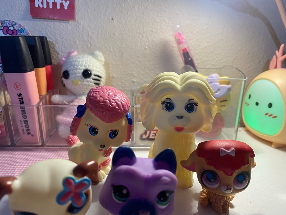 Orjinal olmayan Minişler - Görsel 2