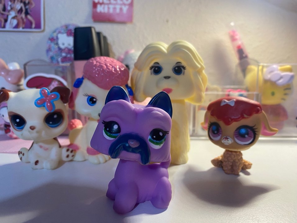 Orjinal olmayan Minişler - Görsel 4