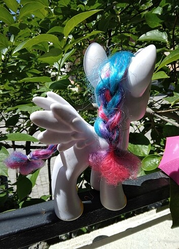 Büyük boy pony