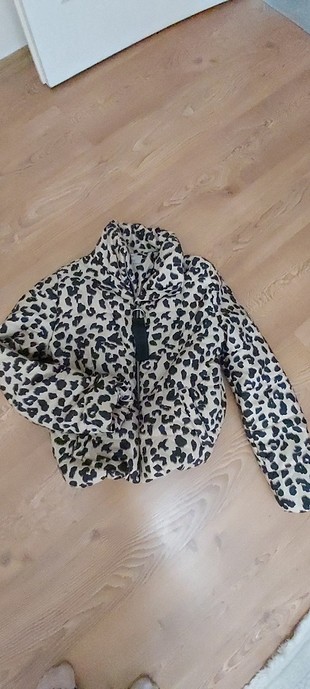 leopar mont