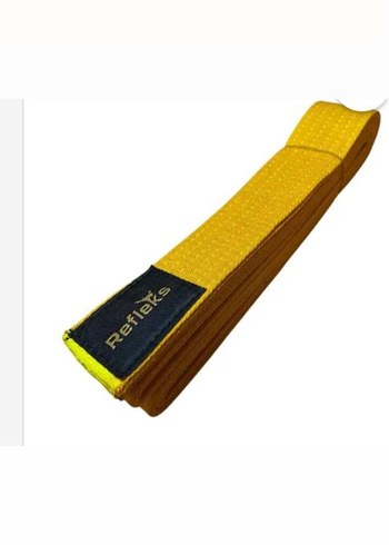 tekvanda kuşağı - Görsel 3