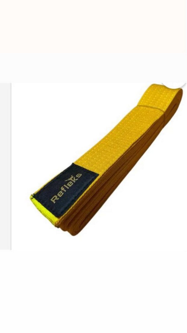 tekvanda kuşağı - Görsel 3