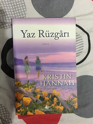 yaz rüzgarı-kristin hannah