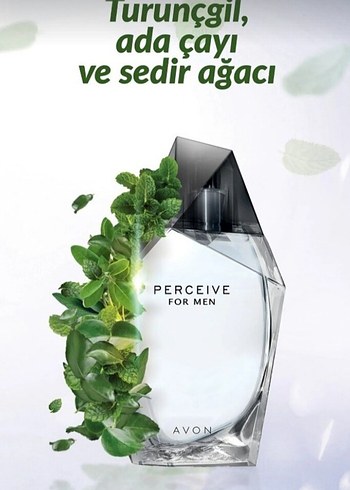 Avon Perceive Erkek Parfümü