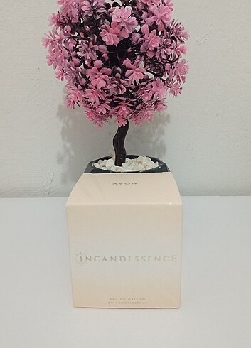 İncandessence 50 ml