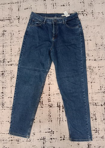 Kadın Mavi Denim Regular Fit Jean