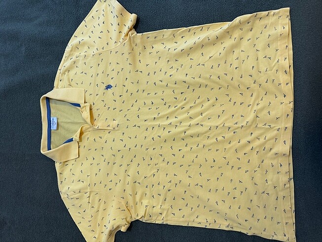 Polo erkek tişört