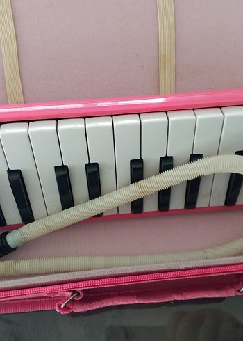 Pembe Taşınabilir Mini Piyano - Görsel 4