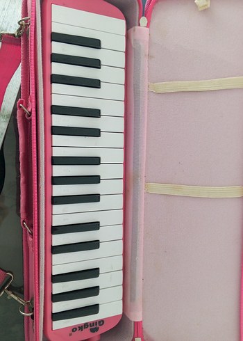 Pembe Taşınabilir Mini Piyano - Görsel 3