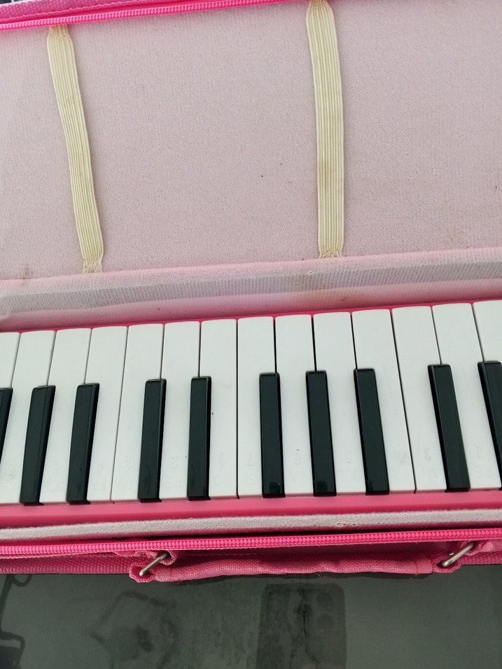 Pembe Taşınabilir Mini Piyano - Görsel 2