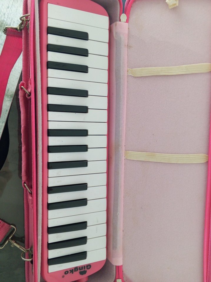 Pembe Taşınabilir Mini Piyano - Görsel 3