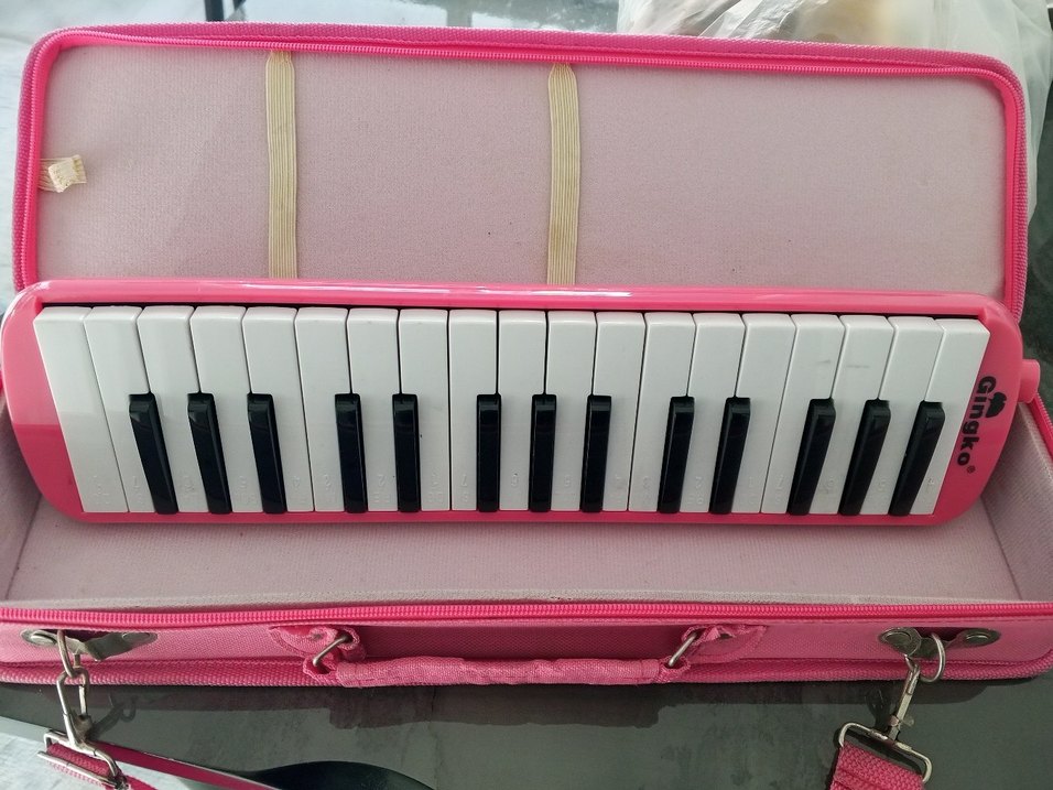 Pembe Taşınabilir Mini Piyano - Görsel 5