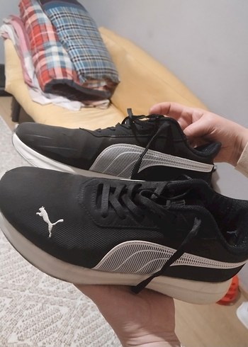 Puma 43