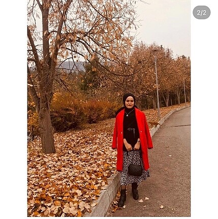 Etek Zara