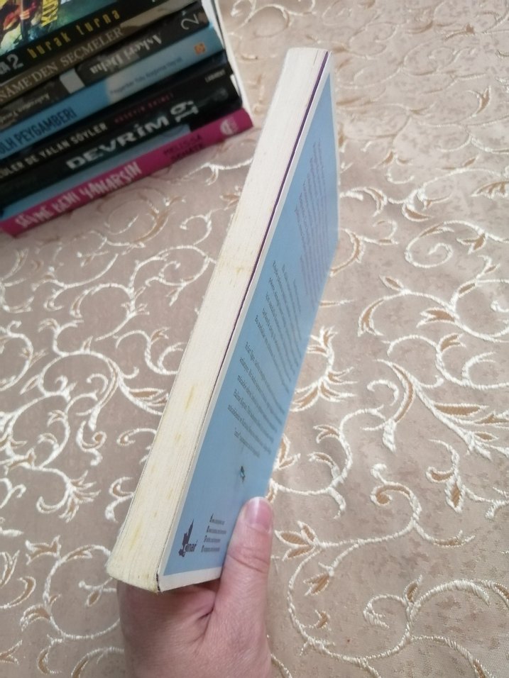 Halime Kaptan - Rıfat Ilgaz 38. Baskı - Görsel 3